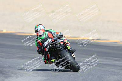 media/Mar-10-2024-SoCal Trackdays (Sun) [[6228d7c590]]/9-Turn 8 Backside (1150am)/